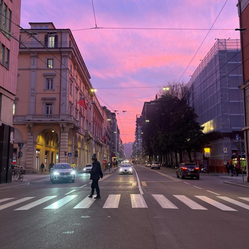 Fotosegnalazione di Bologna porto