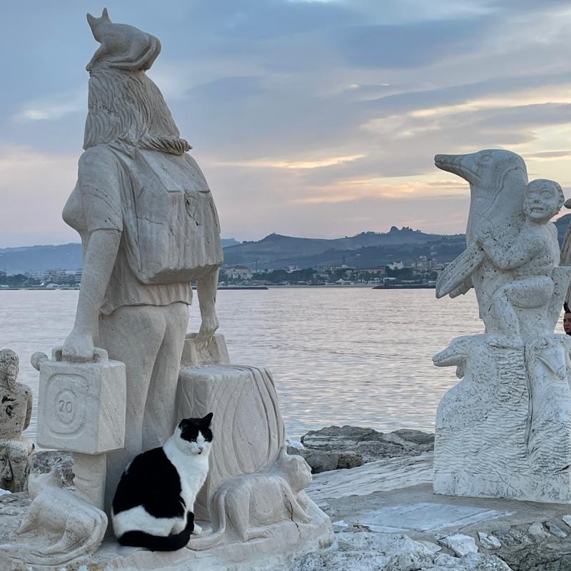 Fotosegnalazione di San benedetto del tronto