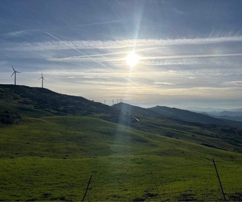 Fotosegnalazione di Montemaggiore belsito