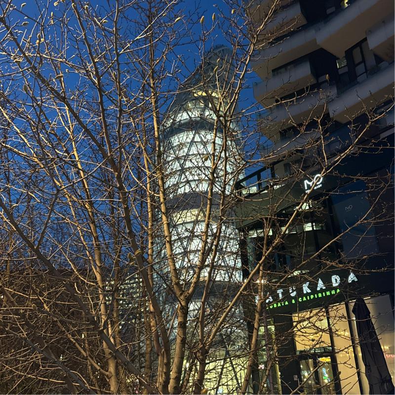 Fotosegnalazione di Milano porta garibaldi