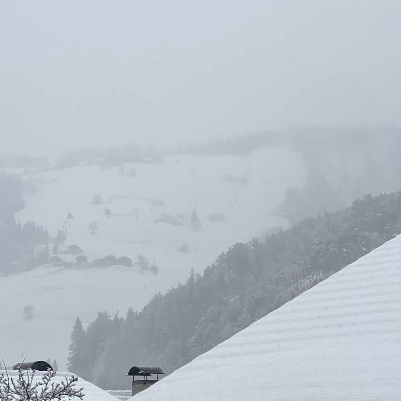 Fotosegnalazione di San martino in badia