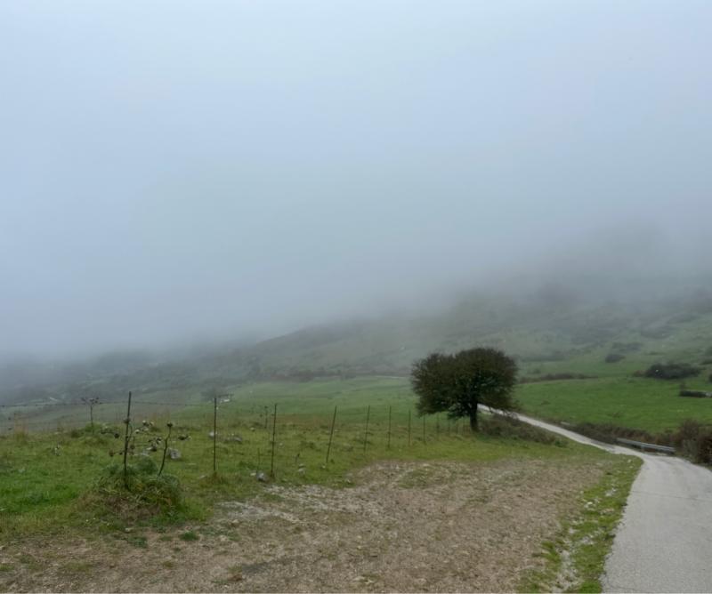 Fotosegnalazione di Montemaggiore belsito
