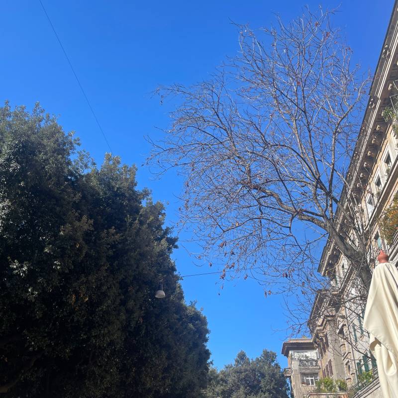 Fotosegnalazione di Roma della vittoria