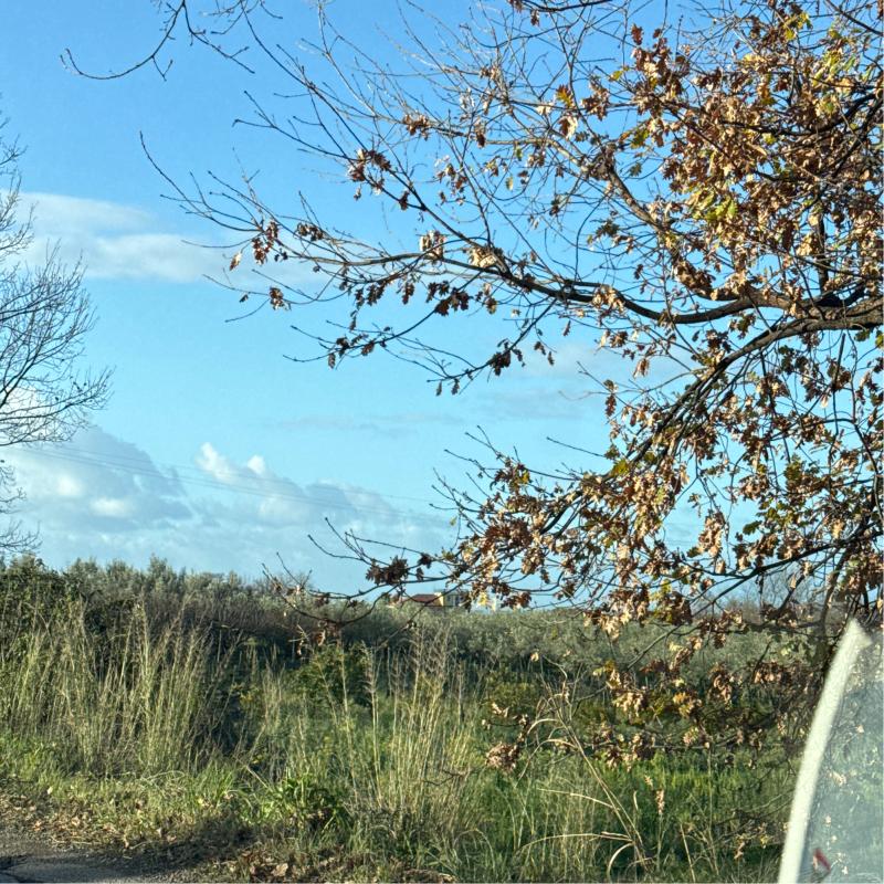 Fotosegnalazione di Montecorvino pugliano