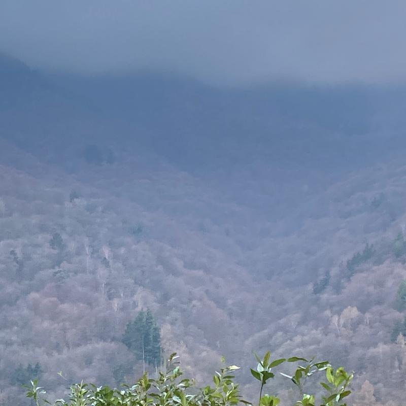 Fotosegnalazione di Faggeto lario