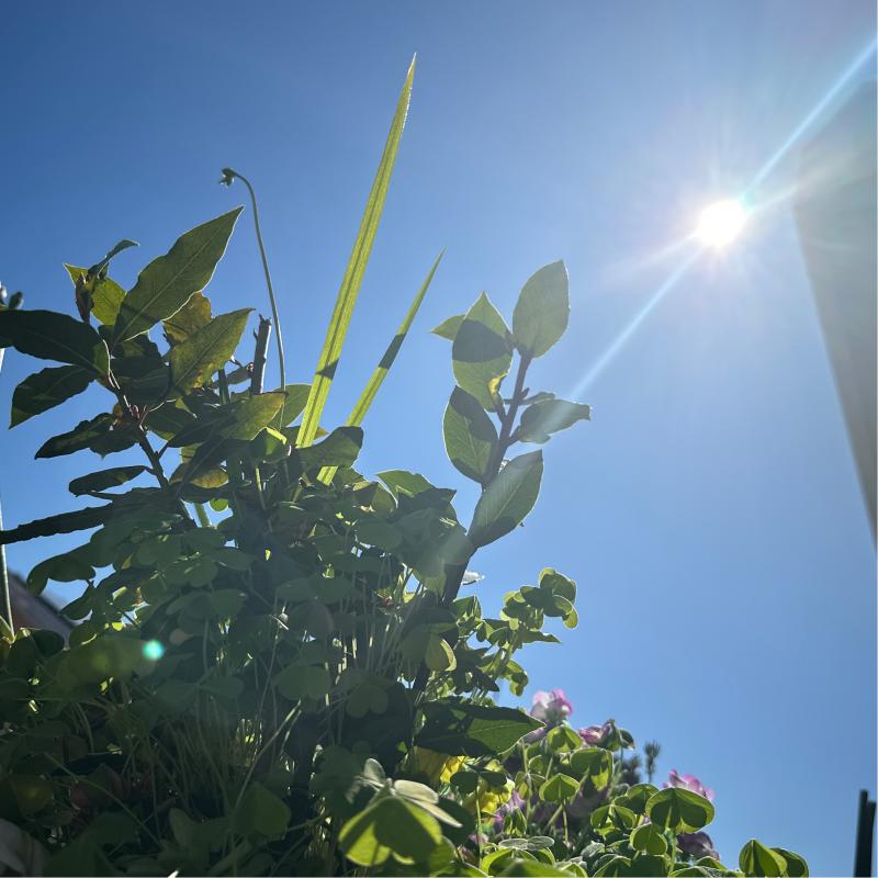 Fotosegnalazione di Paderno dugnano