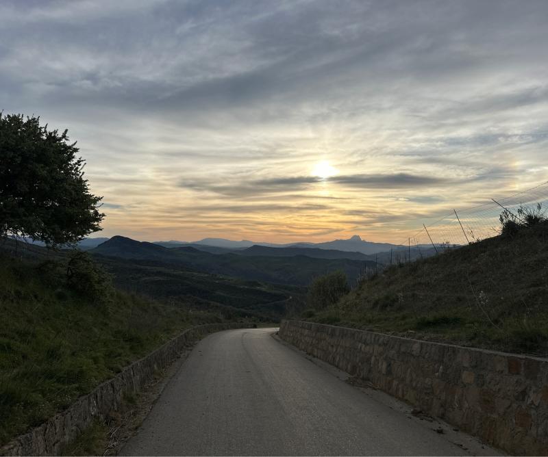 Fotosegnalazione di Montemaggiore belsito