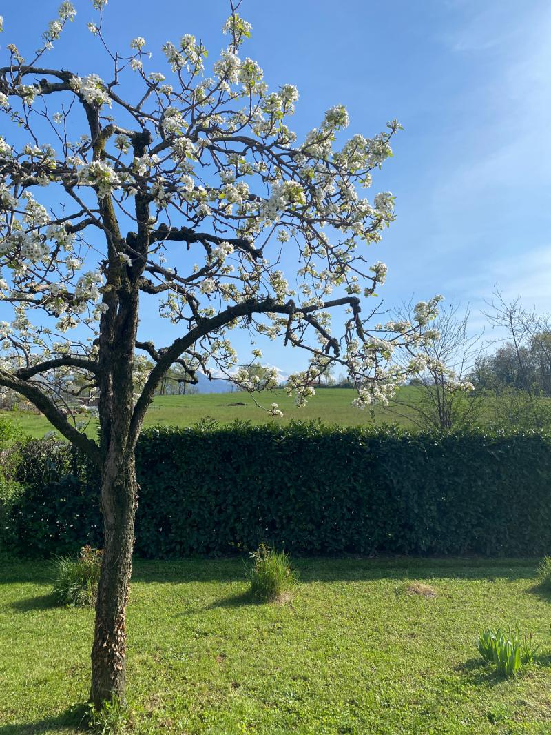 Fotosegnalazione di Villanova mondovi'
