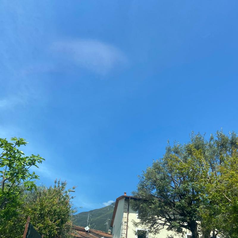 Fotosegnalazione di Camaiore