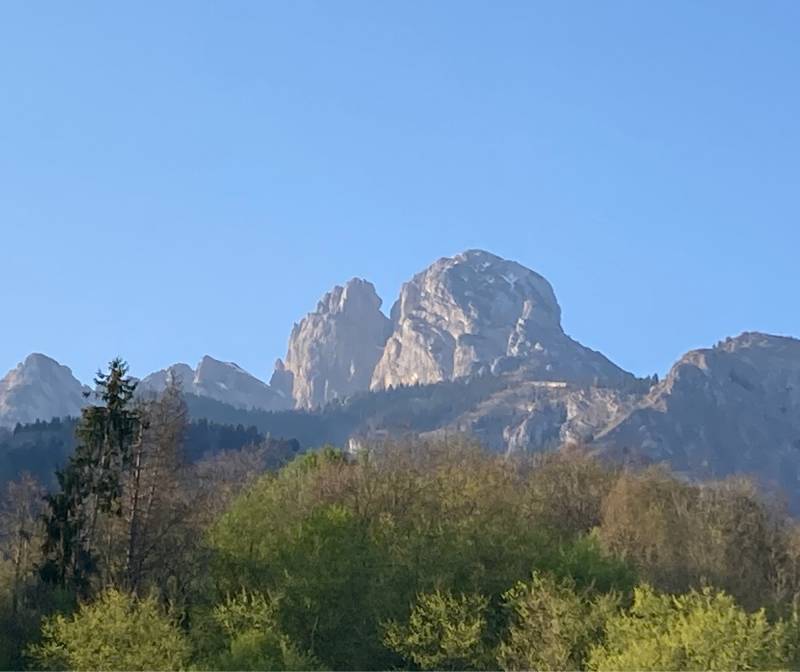 Fotosegnalazione di San gregorio nelle alpi