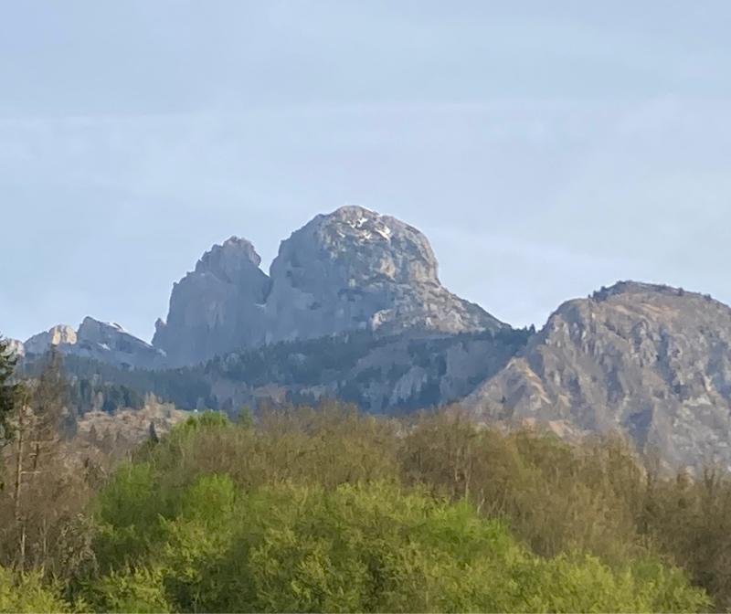Fotosegnalazione di San gregorio nelle alpi