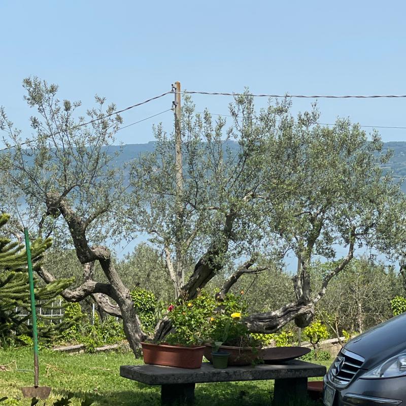 Fotosegnalazione di Marta