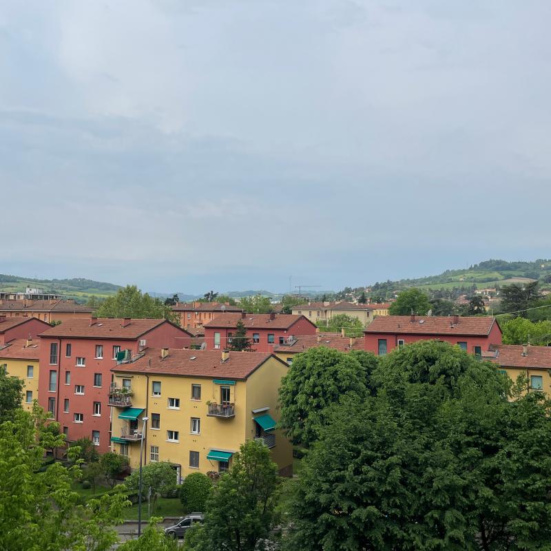 Savena gianni falchi