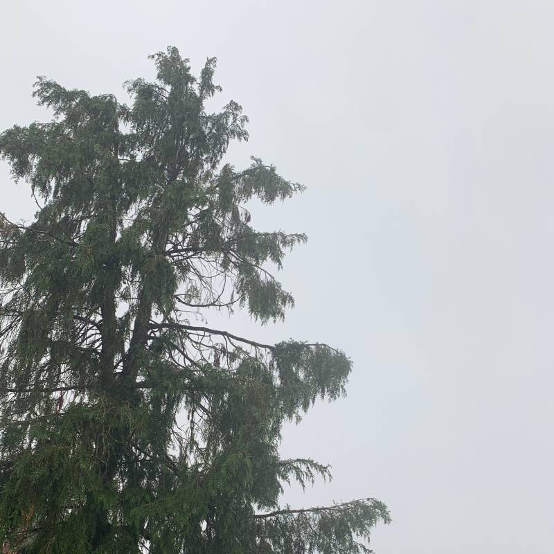 Pioggia e temporale