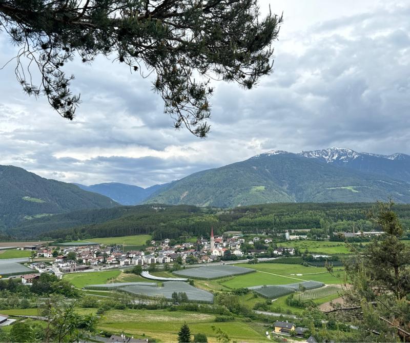 Fotosegnalazione di Naz sciaves