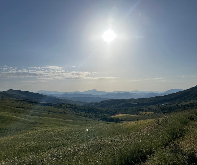 Fotosegnalazione di Montemaggiore belsito