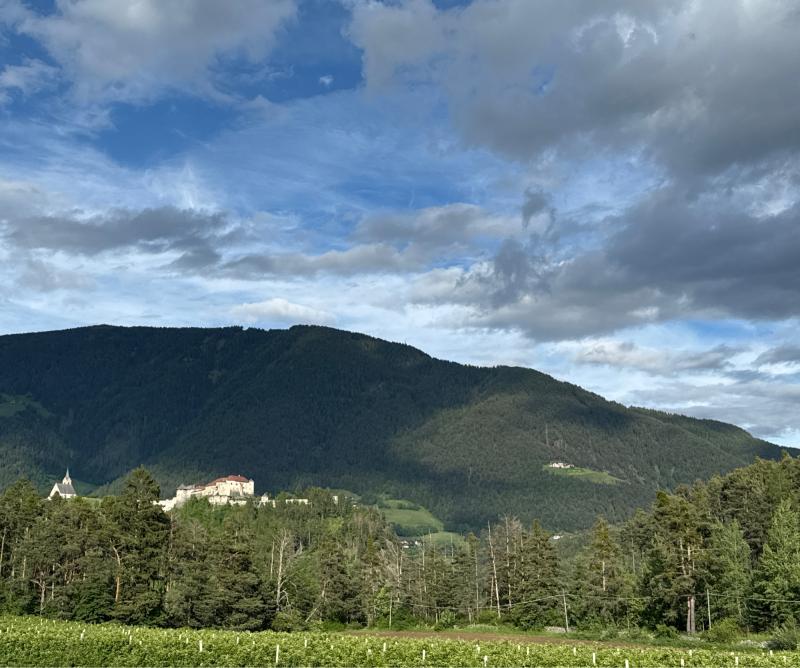 Fotosegnalazione di Naz sciaves