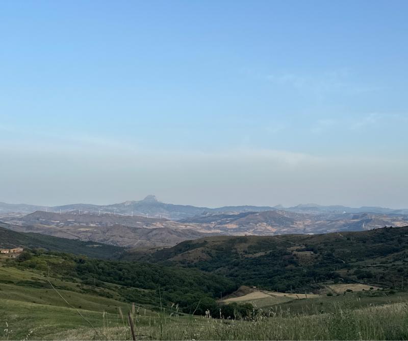 Fotosegnalazione di Montemaggiore belsito