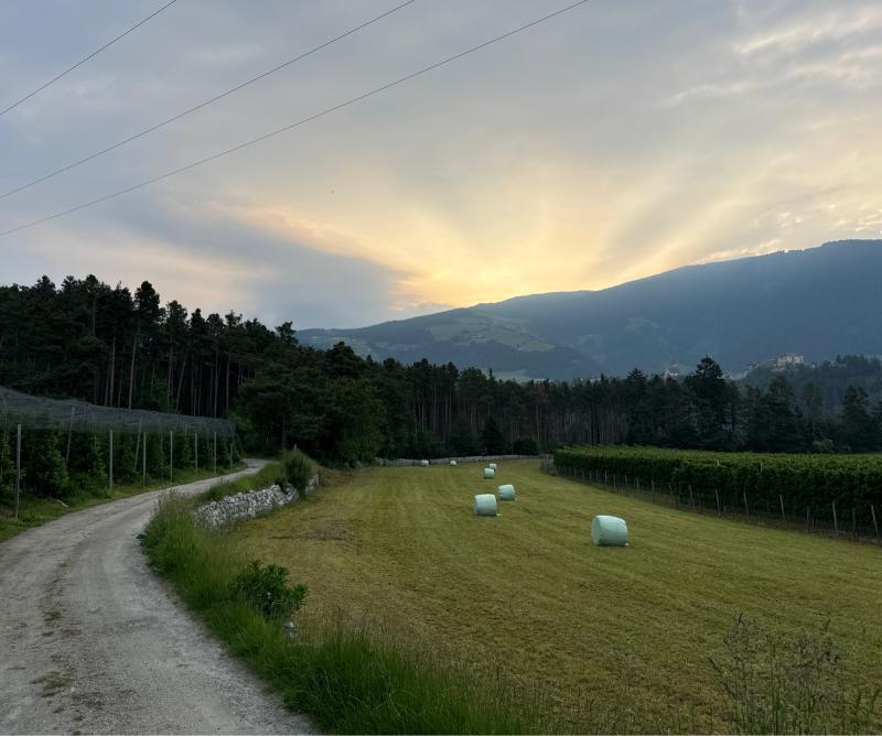 Fotosegnalazione di Naz sciaves