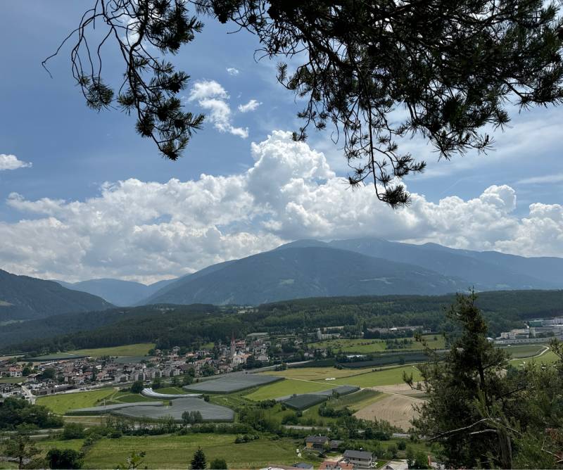 Fotosegnalazione di Naz sciaves