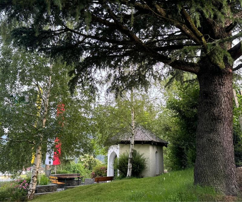Fotosegnalazione di Naz sciaves