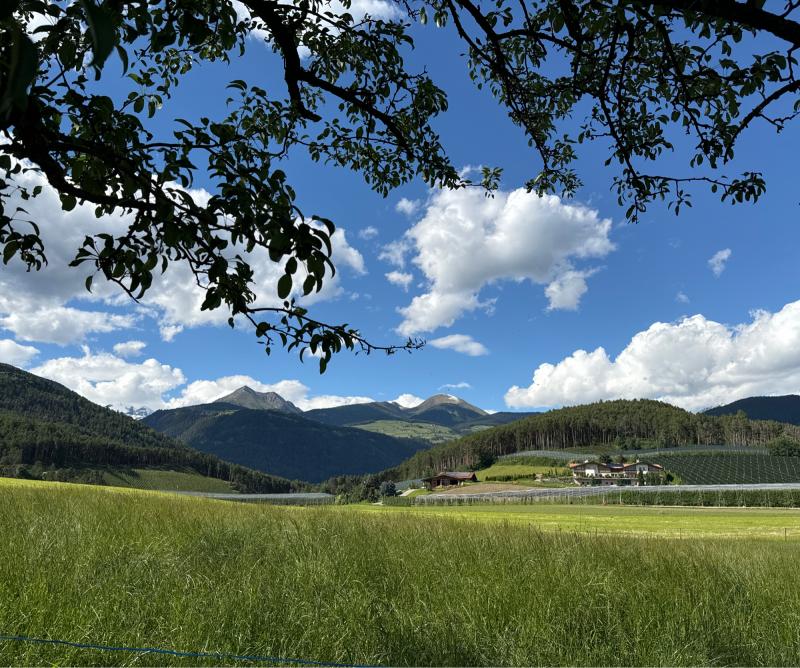 Fotosegnalazione di Naz sciaves