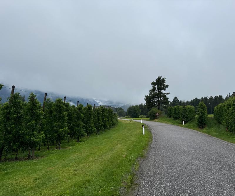 Fotosegnalazione di Naz sciaves