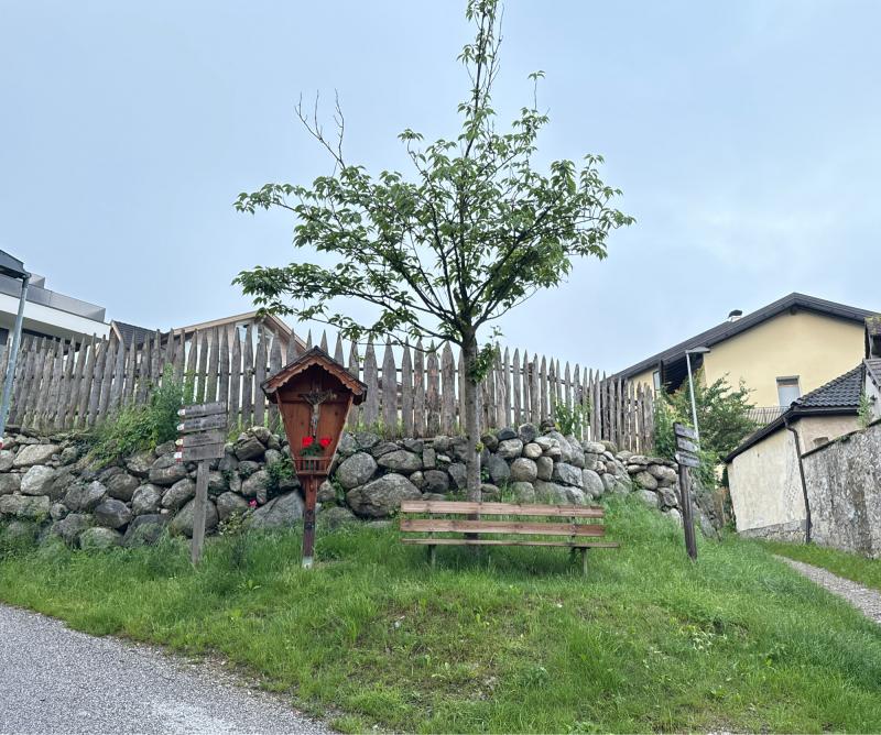 Fotosegnalazione di Naz sciaves