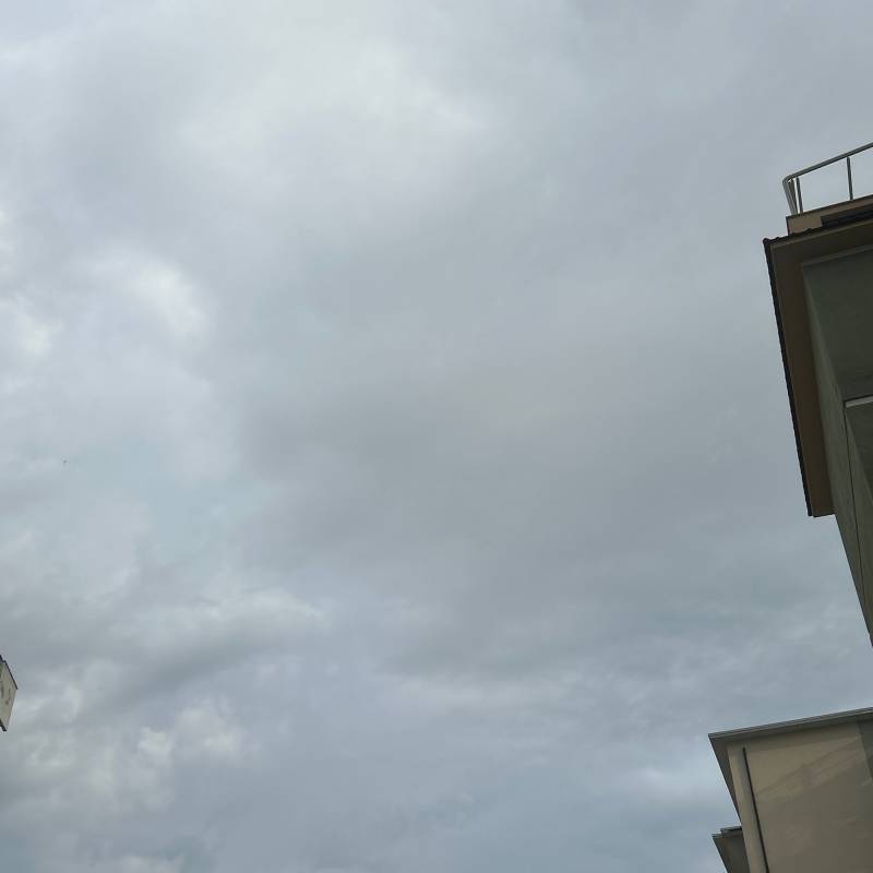Fotosegnalazione di Livorno salviano - scopaia