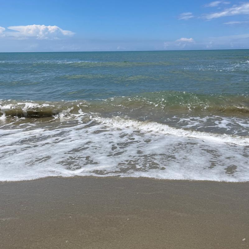 Fotosegnalazione di Camaiore