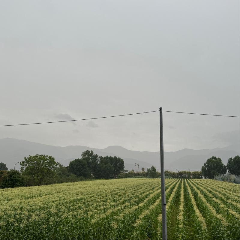 foto-meteo-pompei-vista-sui-campi-3b-meteo