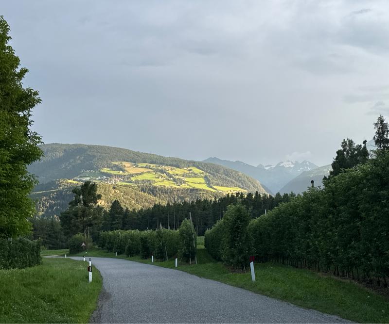 Fotosegnalazione di Naz sciaves