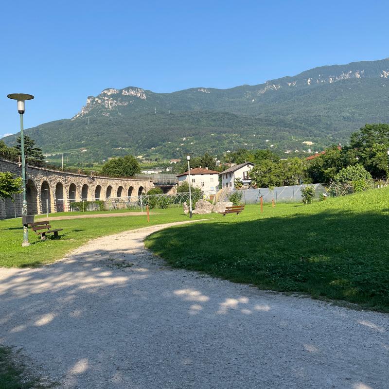 Fotosegnalazione di Trento centro