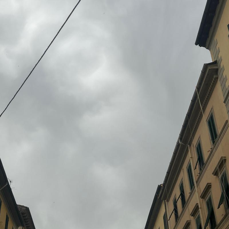 Fotosegnalazione di Livorno centro