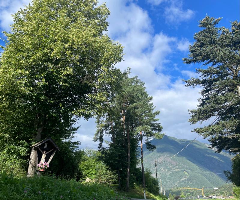 Fotosegnalazione di Naz sciaves