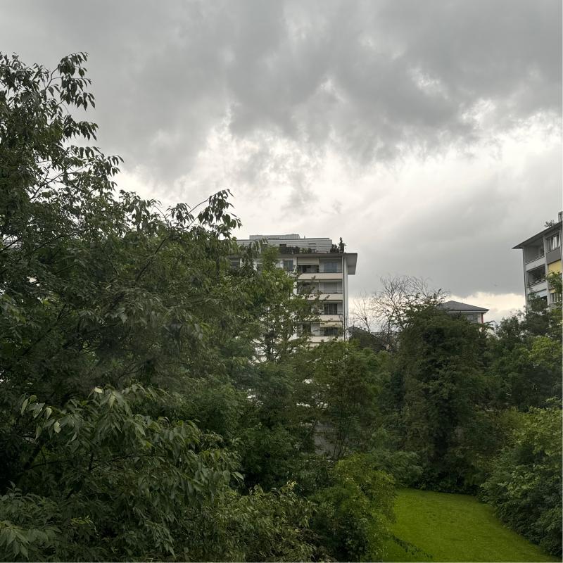 Fotosegnalazione di Ginevra