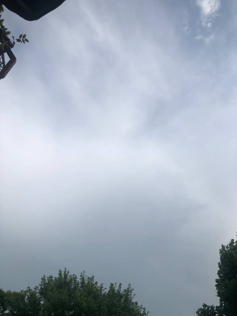 Fotosegnalazione di Pozzoleone