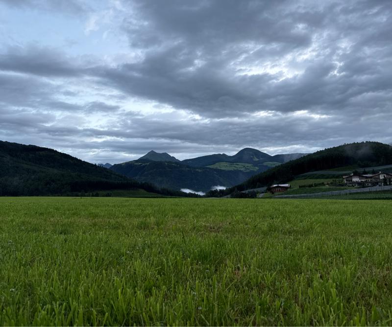 Fotosegnalazione di Naz sciaves