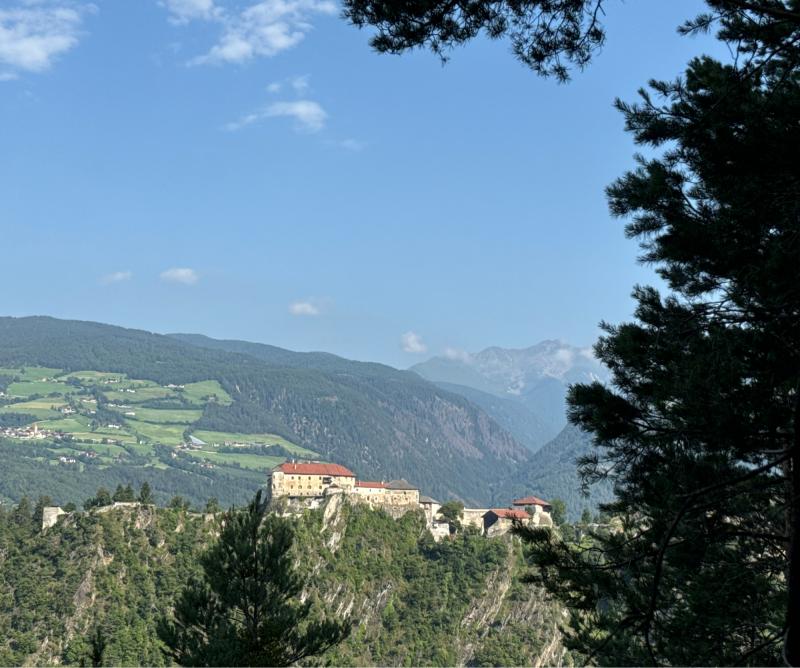 Fotosegnalazione di Naz sciaves