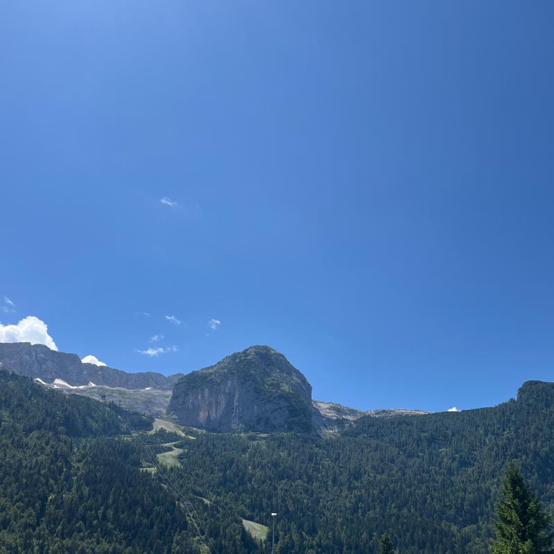 Fotosegnalazione di Sella nevea