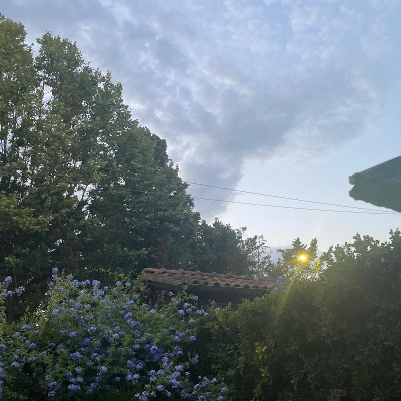 Fotosegnalazione di Camaiore