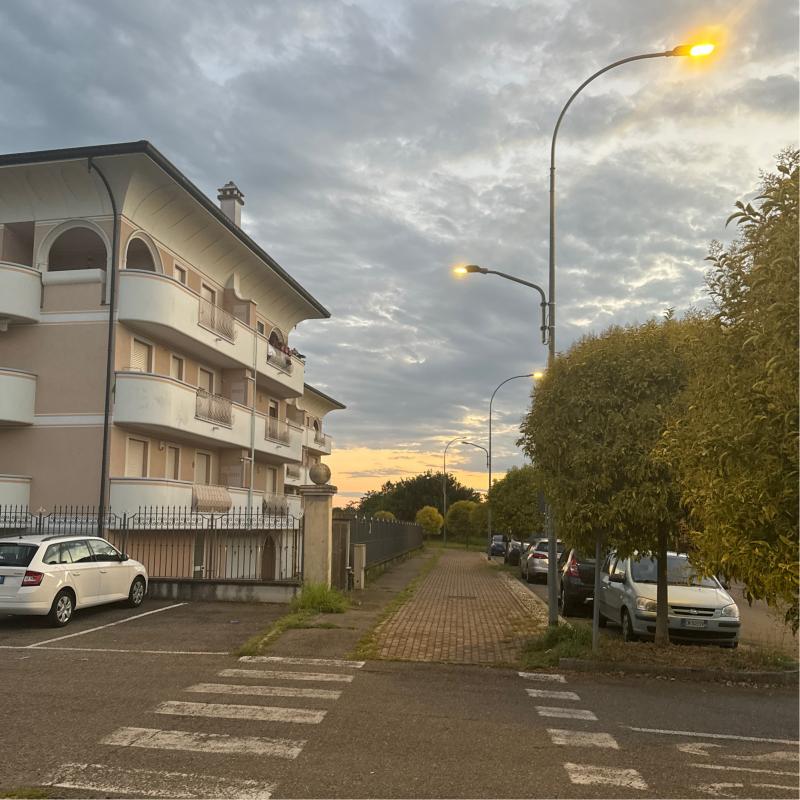 Fotosegnalazione di Mesero
