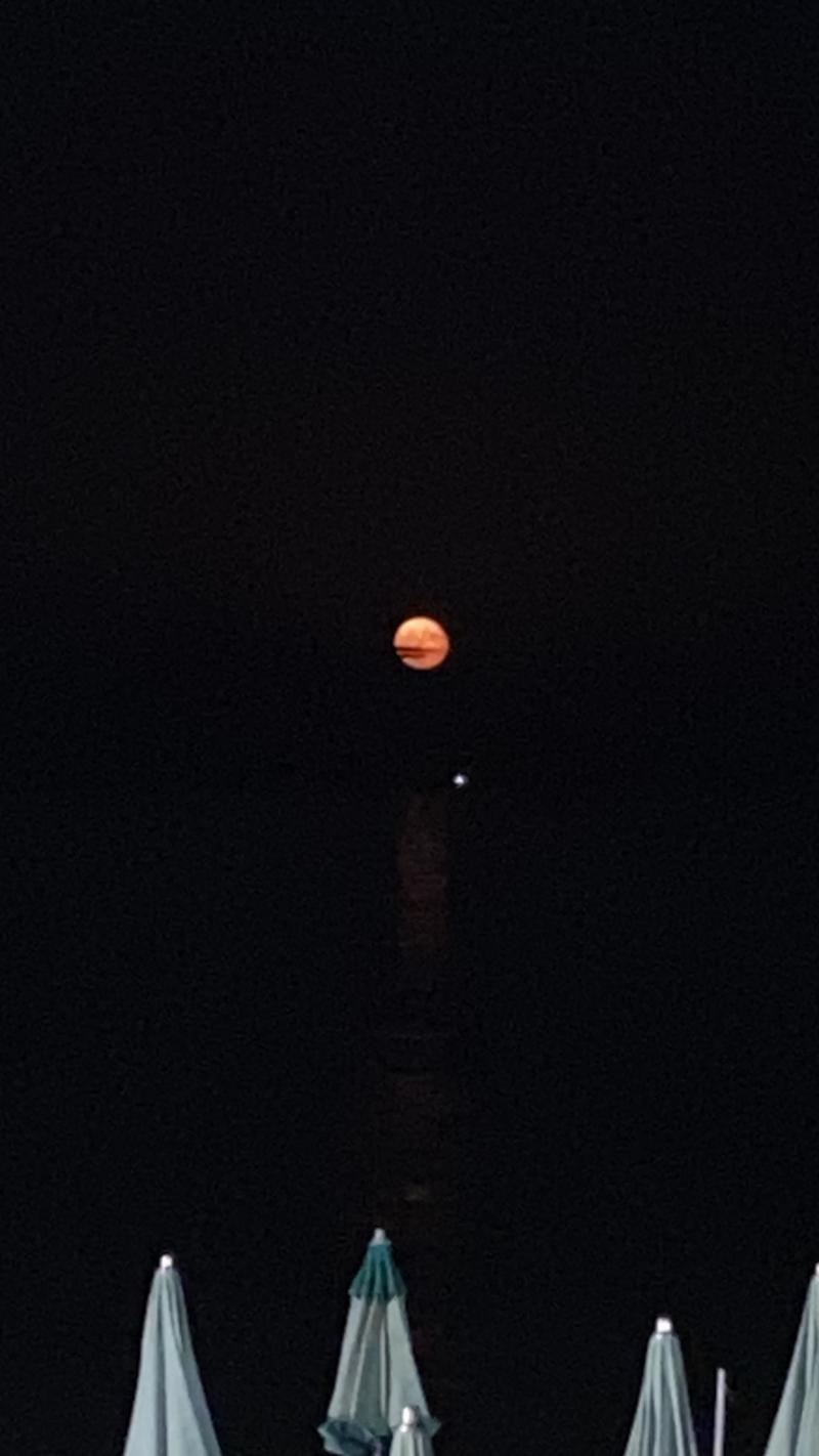 la luna con la bandana