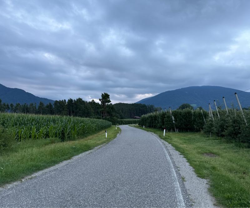 Fotosegnalazione di Naz sciaves