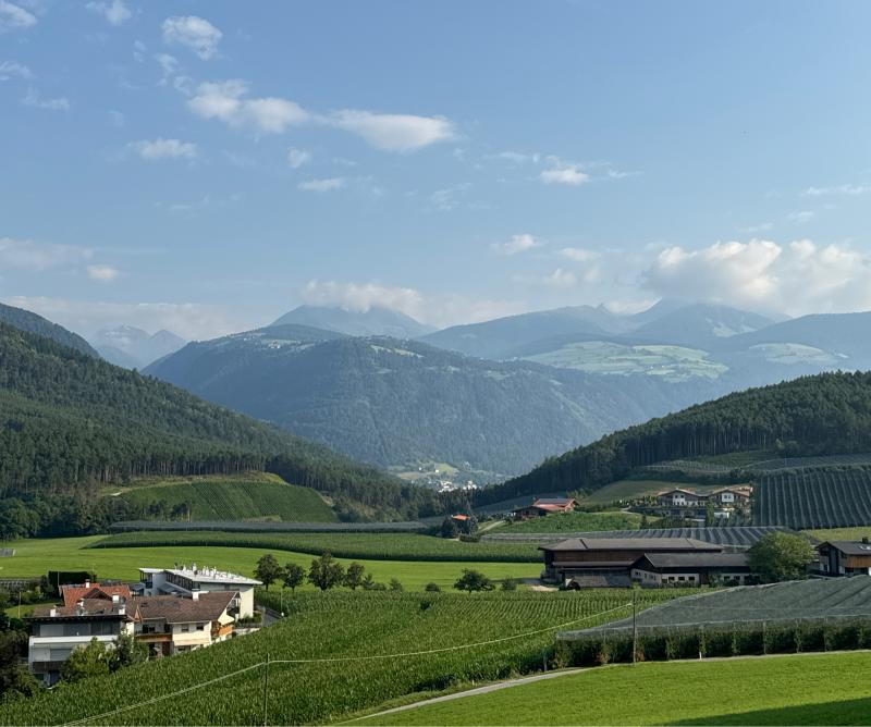 Fotosegnalazione di Naz sciaves