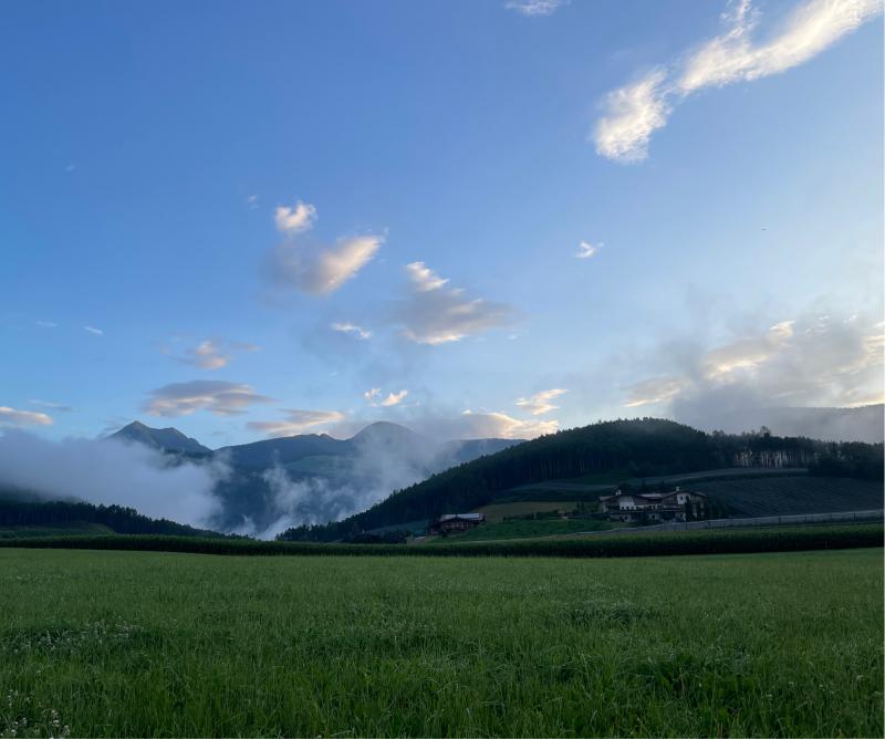 Fotosegnalazione di Naz sciaves