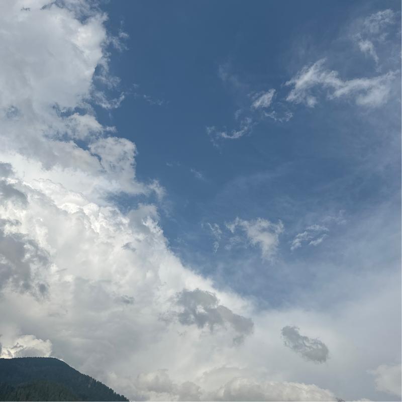 Previsioni in tempo reale sbagliate in pieno