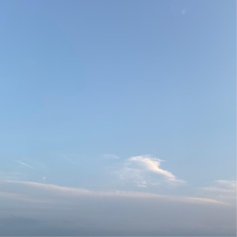 Fotosegnalazione di Noventa padovana