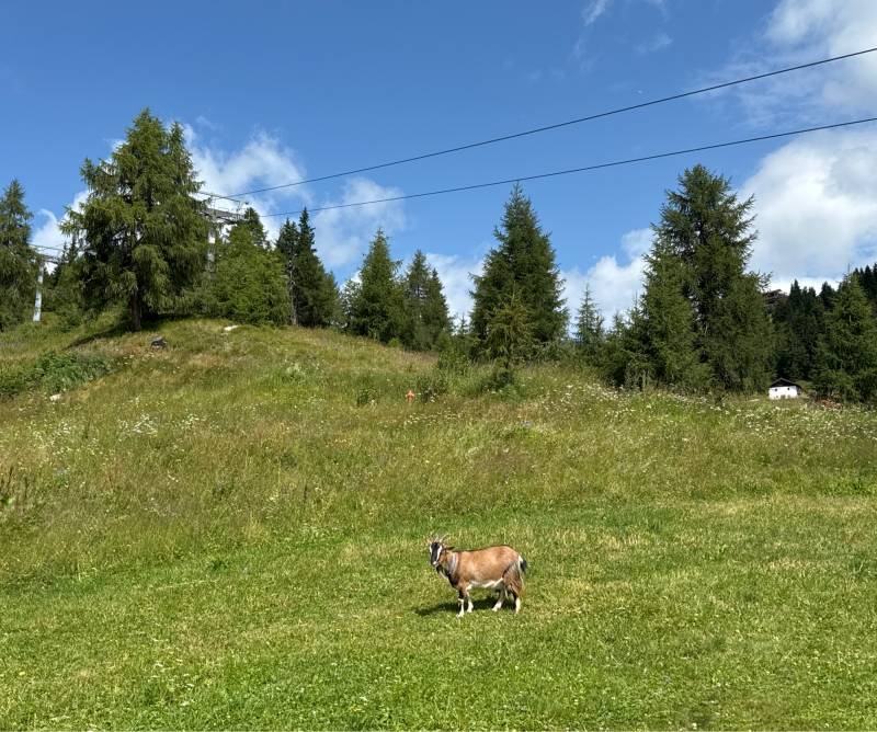 Fotosegnalazione di Rio di pusteria