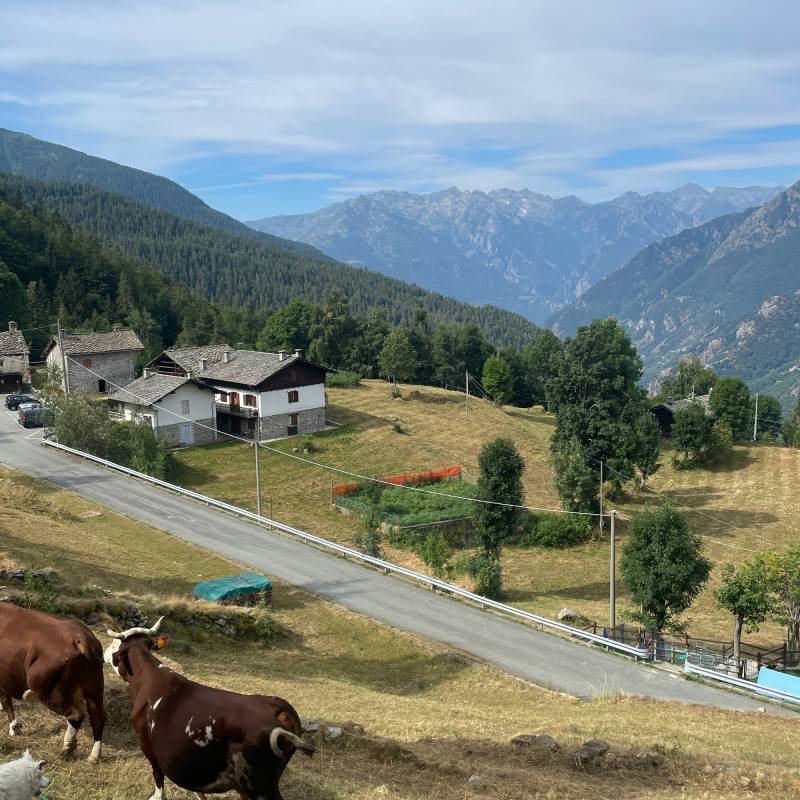 Fotosegnalazione di Fontainemore